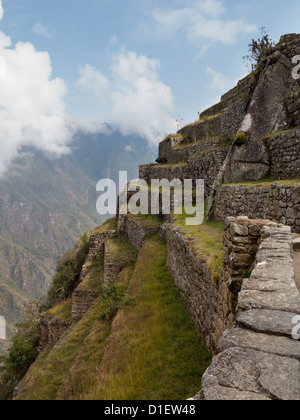 Matin vue sur terrasses à Machu Picchu en buée efface les ruines de la montagne Banque D'Images