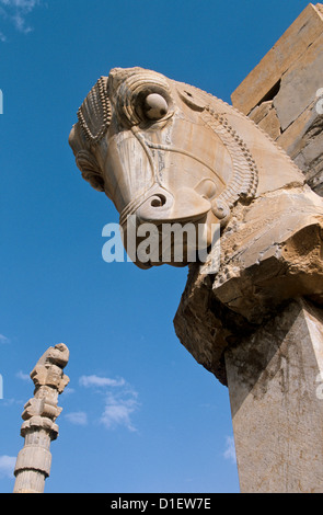 Cent colonnes prix. Tête de cheval. Persepolis. L'Iran Banque D'Images