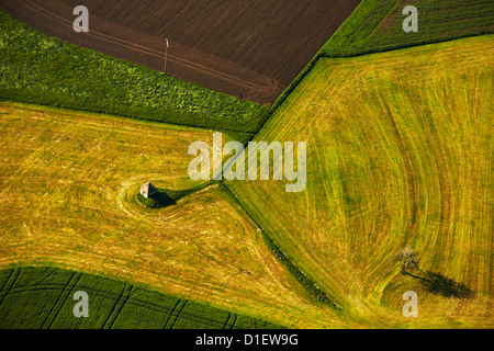 Cabane et arbre sur terrain, photo aérienne Banque D'Images