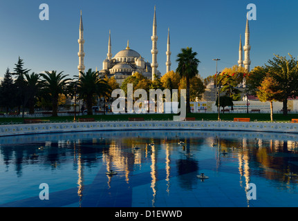 Mosquée bleue dans soleil du matin avec réflexion dans fountain Istanbul Turquie Banque D'Images