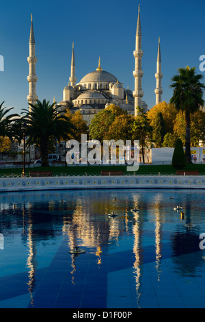 Mosquée bleue dans soleil du matin avec réflexion en extérieure Istanbul Turquie Banque D'Images