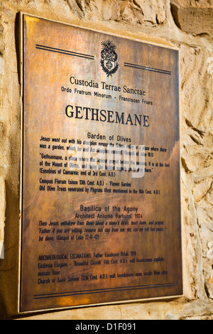 La plaque d'information dans le jardin de Gethsémané, Jérusalem, Israël Banque D'Images