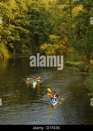 Kayak sur Krutynia, Septembre 2010 Banque D'Images