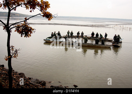 Chasse d'automne de carpes sur l'étang tchèque Rozmberk - plus grand étang en République tchèque, paysage Banque D'Images