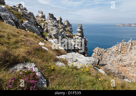 Pointe de Penhir, presqu'île de Crozon, Finistère, Bretagne, France Banque D'Images