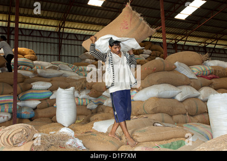 Le déplacement des travailleurs des sacs de riz dans une installation de stockage du riz, Battambang, Cambodge Banque D'Images