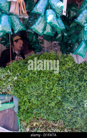 Un étal avec des tas de menthe fraîche à vendre à la place principale, la place Jemaa El Fna), Marrakech, Maroc, Afrique du Nord, Afrique Banque D'Images