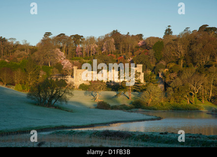 Lever du soleil au château de Caerhays de magnolias derrière le château et bien reflétée dans le lac, St Austell, Cornwall, Angleterre Banque D'Images