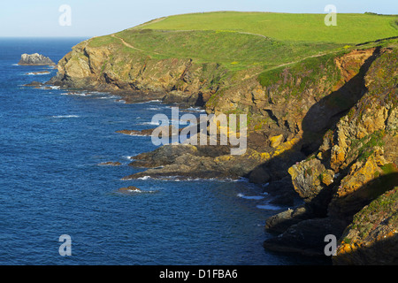 Le cap Lizard, Le Lézard, Cornwall, Angleterre, Royaume-Uni, Europe Banque D'Images