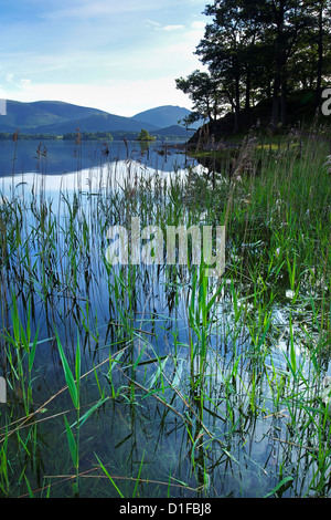 Derwent Water, Parc National de Lake District, Cumbria, Angleterre, Royaume-Uni, Europe Banque D'Images