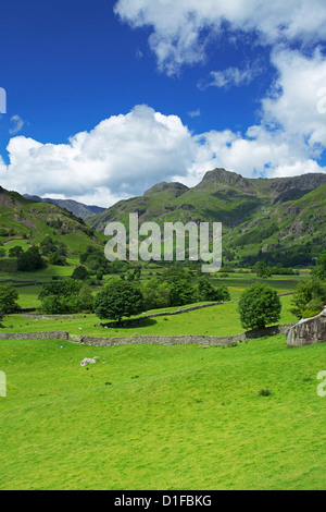 Langdale Pikes, Parc National de Lake District, Cumbria, Angleterre, Royaume-Uni, Europe Banque D'Images