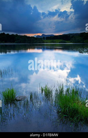 Loughrigg Tarn, Parc National de Lake District, Cumbria, Angleterre, Royaume-Uni, Europe Banque D'Images