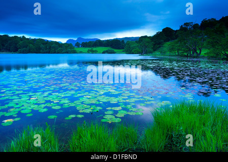 Loughrigg Tarn, Parc National de Lake District, Cumbria, Angleterre, Royaume-Uni, Europe Banque D'Images