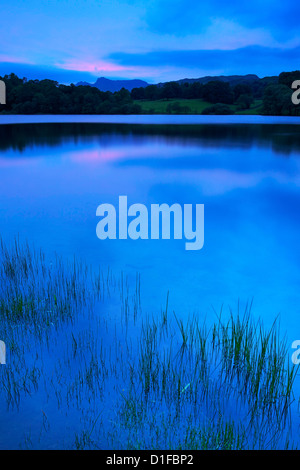 Loughrigg Tarn, Parc National de Lake District, Cumbria, Angleterre, Royaume-Uni, Europe Banque D'Images