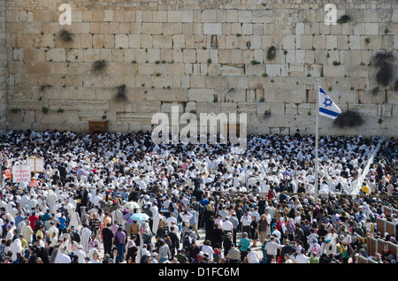 Bénédiction de Cohen traditionnel au Mur occidental pendant la fête juive de la Pâque, vieille ville de Jérusalem, Israël, Moyen Orient Banque D'Images
