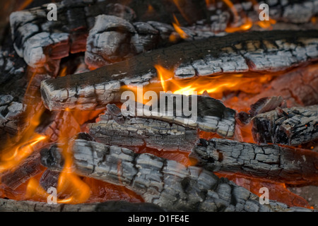 Milieu d'un feu de bois avec des flammes et des braises rougeoyantes, gros plan Banque D'Images