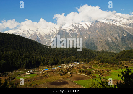 Dhaulagiri Himal vu de Titi, de l'Annapurna Conservation Area, Dhawalagiri (Dhaulagiri), Région de l'Ouest (Pashchimanchal), Népal Banque D'Images