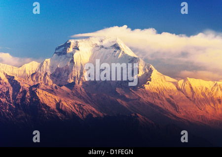 Dhaulagiri Himal vu de Khopra, de l'Annapurna Conservation Area, Dhawalagiri (Dhaulagiri), Région de l'Ouest (Pashchimanchal), Népal Banque D'Images