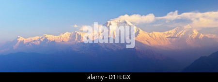 Dhaulagiri Himal vu de Khopra, de l'Annapurna Conservation Area, Dhawalagiri (Dhaulagiri), Région de l'Ouest (Pashchimanchal), Népal Banque D'Images