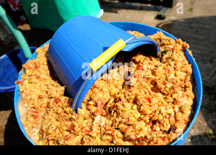 La fabrication du cidre d'une ferme - seaux de pommes de terre en purée pour la lecture en appuyant sur, Herefordshire, UK Banque D'Images