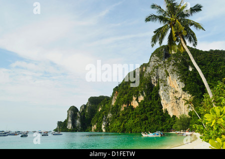 La baie de Ton Sai, Ko Phi Phi, Krabi, Thaïlande, Asie du Sud-Est, Asie Banque D'Images