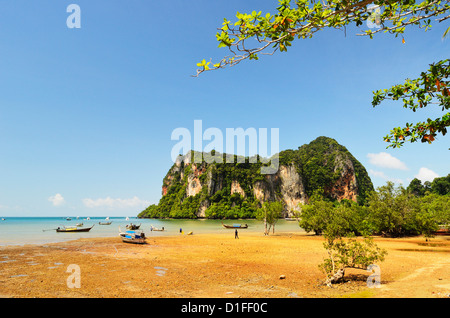 Railay East Bay, Rai Leh (Railay), Côte d'Andaman, la province de Krabi, Thaïlande, Asie du Sud, Asie Banque D'Images