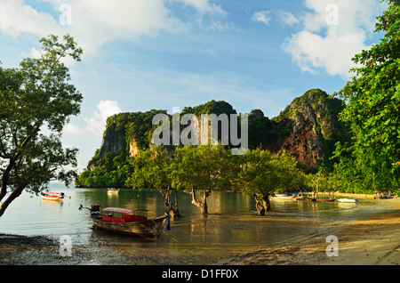 Railay East Bay, Rai Leh (Railay), Côte d'Andaman, la province de Krabi, Thaïlande, Asie du Sud, Asie Banque D'Images