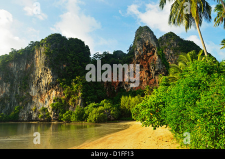 Railay East Bay, Rai Leh (Railay), Côte d'Andaman, la province de Krabi, Thaïlande, Asie du Sud, Asie Banque D'Images