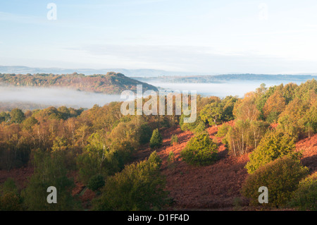 Vue nord-ouest à travers Redford et Milland à côté de l'ancienne colline sur Woolbeding commun, West Sussex, UK. Octobre. Banque D'Images