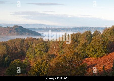 Vue nord-ouest à travers Redford et Milland à côté de l'ancienne colline sur Woolbeding commun, West Sussex, UK. Octobre. Banque D'Images