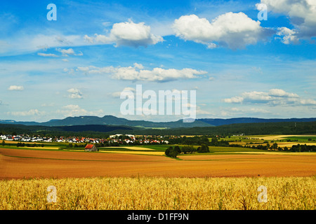 Scène rurale, village de Lauffen, près de Rottweil, forêt noire, forêt-Noire-baar, Baden-Wurttemberg, Germany, Europe Banque D'Images