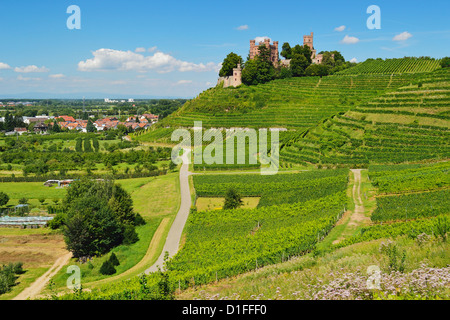 Château d'Ortenberg, Ortenberg, Ortenau, Baden-Wurttemberg, Germany, Europe Banque D'Images