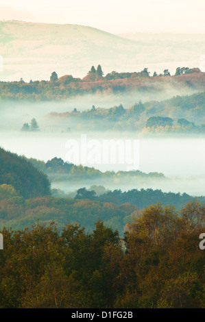 Vue nord-ouest à travers Redford et Milland à côté de l'ancienne colline sur Woolbeding commun, West Sussex, UK. Octobre. Banque D'Images