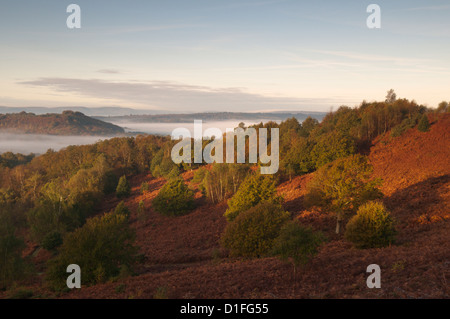 Vue nord-ouest à travers Redford et Milland à côté de l'ancienne colline sur Woolbeding commun, West Sussex, UK. Octobre. Banque D'Images