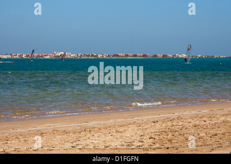 Planche à voile le long de la plage de sable de la Mer Rouge en Egypte Banque D'Images