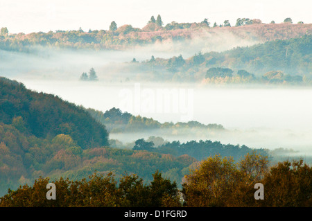 Vue nord-ouest à travers Redford et Milland à côté de l'ancienne colline sur Woolbeding commun, West Sussex, UK. Octobre. Banque D'Images