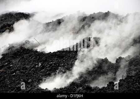 Pile de charbon dans le plein air, Transylvanie, Roumanie Banque D'Images