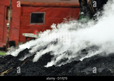 Pile de charbon dans le plein air, Transylvanie, Roumanie Banque D'Images