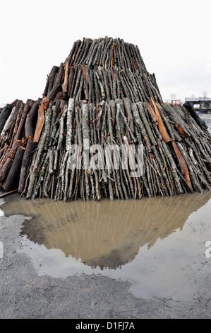 Pile de charbon dans le plein air, Transylvanie, Roumanie Banque D'Images