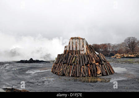 Pile de charbon dans le plein air, Transylvanie, Roumanie Banque D'Images