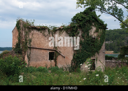 Maison d'habitation abandonnés par le port de mer couverte de végétation verte Banque D'Images