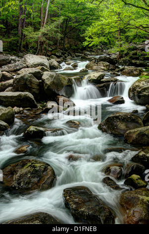 Cascades de la rivière. Peu de Pigeon River. Banque D'Images