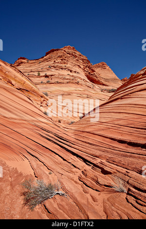 La mini-formation de vagues, Coyote Buttes Wilderness, Vermillion Cliffs National Monument, Arizona, États-Unis d'Amérique Banque D'Images