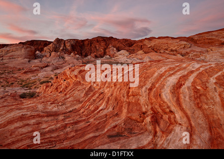 Les couches de grès blanc et orange avec des nuages au lever du soleil, la Vallée de Feu State Park, Nevada, United States of America Banque D'Images