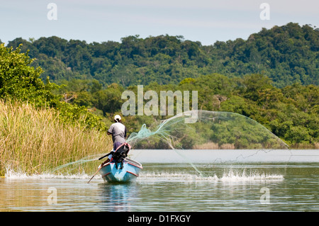 Fisherman casting net le Lac Izabal (Lago de Izabal), Guatemala, Amérique Centrale Banque D'Images