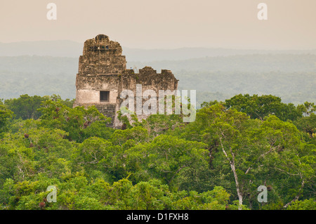 Parc national de Tikal (Parque Nacional Tikal), UNESCO World Heritage Site, Guatemala, Amérique Centrale Banque D'Images