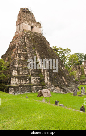 Parc national de Tikal (Parque Nacional Tikal), UNESCO World Heritage Site, Guatemala, Amérique Centrale Banque D'Images