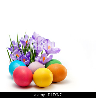 Concept d'œufs de Pâques et de printemps crocus sur fond blanc Banque D'Images