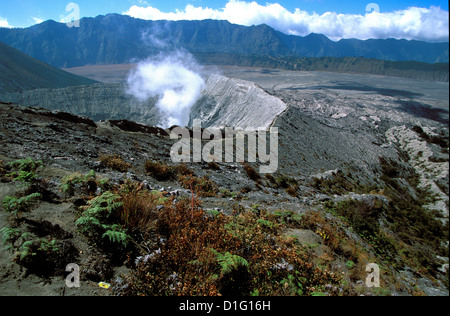 Caldeira et bromo à 2329 m, et Semeru à 3676m, volcans de Java, en Indonésie, en Asie du Sud-Est, l'Asie Banque D'Images