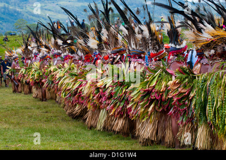 Habillés de couleurs vives et le visage peint les tribus locales pour célébrer la traditionnelle chanter chanter dans les Highlands, la Papouasie-Nouvelle-Guinée Banque D'Images